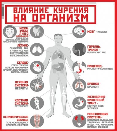 Свобода выбора — это не дым